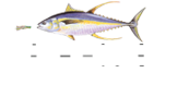 fish-house-logo